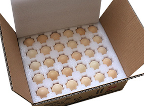 �������u���С�A�