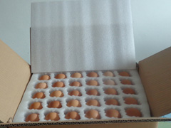 �u���а��b���u���������ް��b����