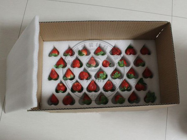 �����޲�ݮ���b