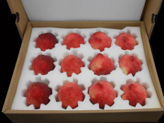 �P(gu��n)��ˮ���\(y��n)ݔ���b����Ҫ������Щ��