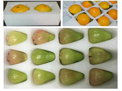 ��ʲô�Ϸ������ޱ��V�����ڼ����������